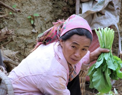 Vietfemme17