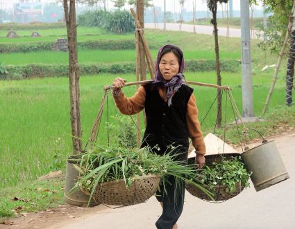 Vietfemme30