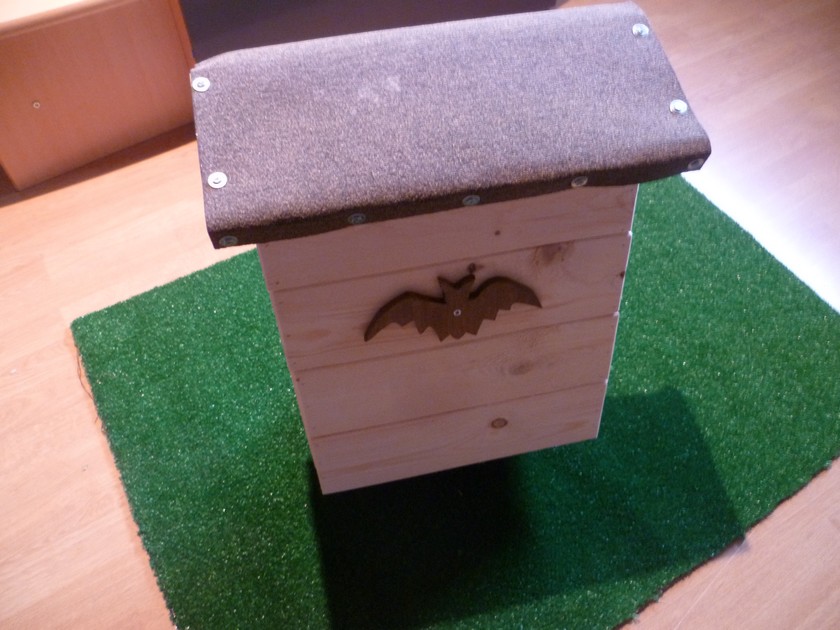 Abri chauve souris4