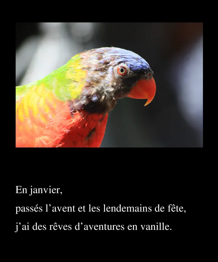 Janvier 2017