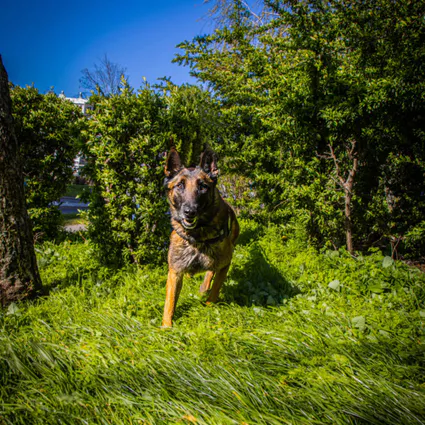 434472627 910487864416158 711861074440648960 n