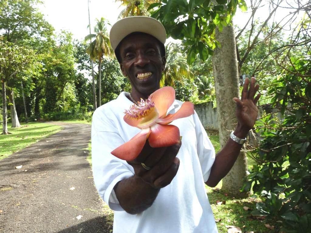 croisières et plongée sous marine Caraïbes