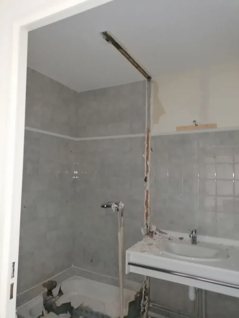 Demolition cloison salle de bain a reze