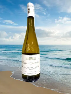2023 cheneau maxime250 pixels removebg preview