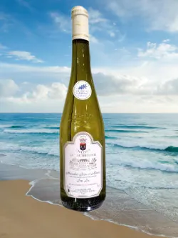 2023 peigne 250 pixels removebg preview