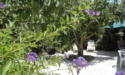 Jardin nord