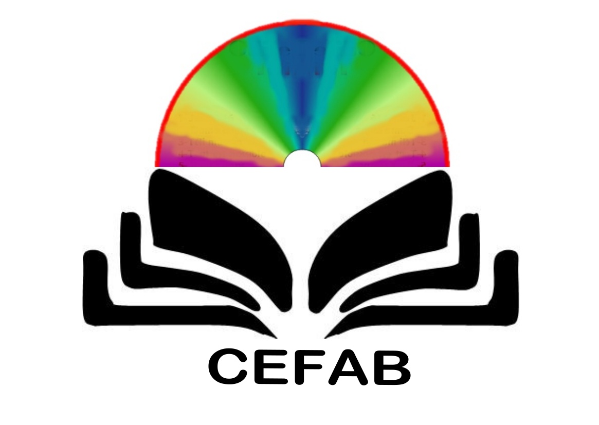 Logo cefab col final