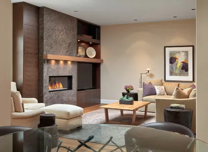 Cheminee pierre grise meuble tele bois massif salon pau 64 lons billere lescar