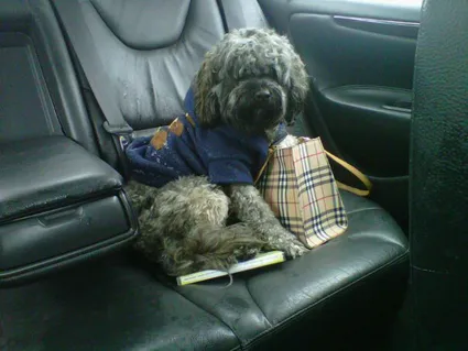 427683 2894622736436 1586348835 2553123 1639070866 n