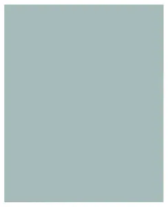 Macaron curacao 229 244x300