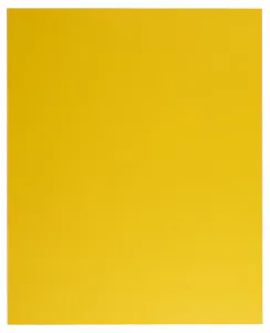 Macaron citron 244x300