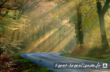 Foret broceliande