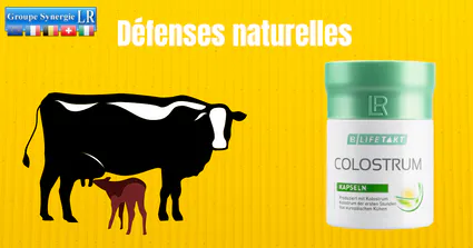 Colostrum gelulles