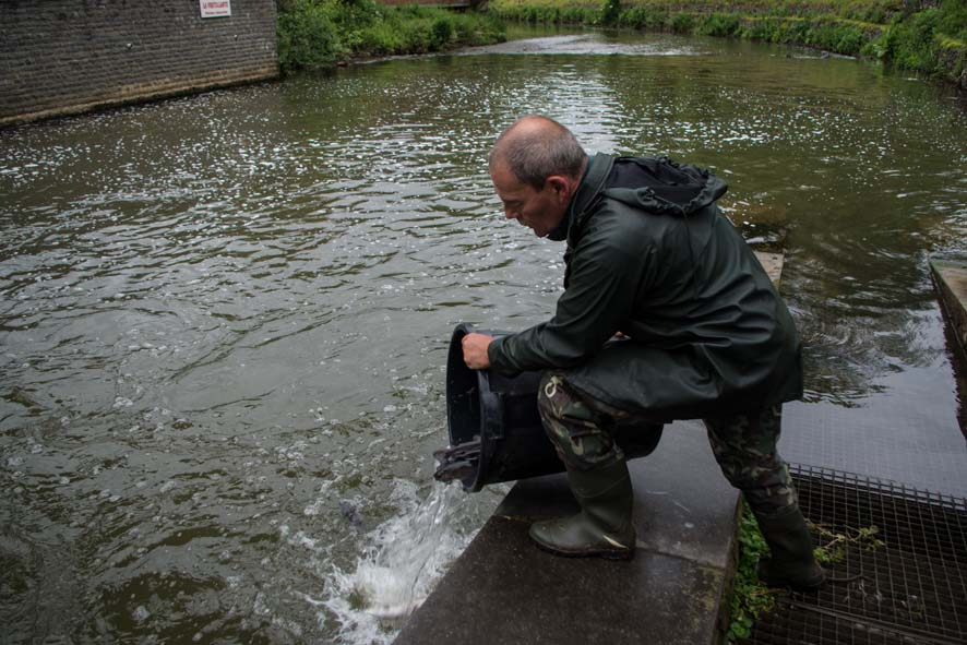 2014 05 25 concours de peche jamioulx 19
