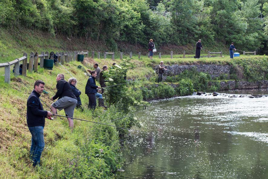 2014 05 25 concours de peche jamioulx 59