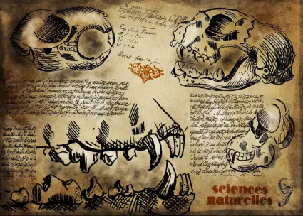 Dessiner comme Léonard de Vinci quand on parle de croquis