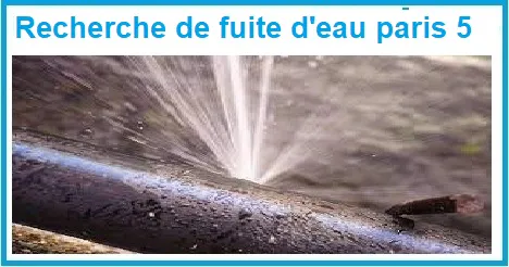 recherche fuite d'eau paris 5