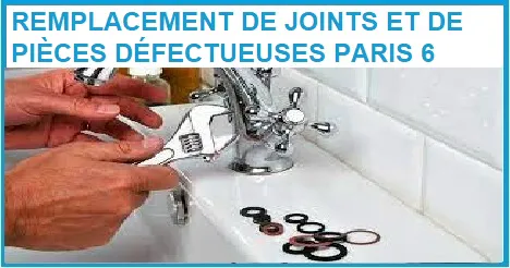 REMPLACEMENT DE JOINTS ET DE PIÈCES DÉFECTUEUSES PARIS 6