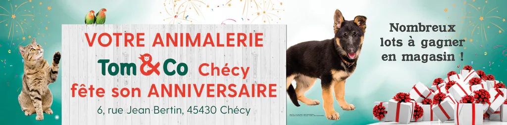 Affiche bus 275x68 version definitive