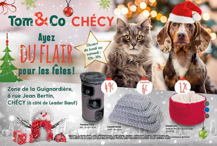 Tom co publi45 v1 dec2018