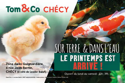 Tom1co publi45 avril 2019