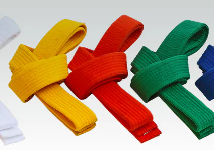 Les examens de ceintures Samouraï Budo