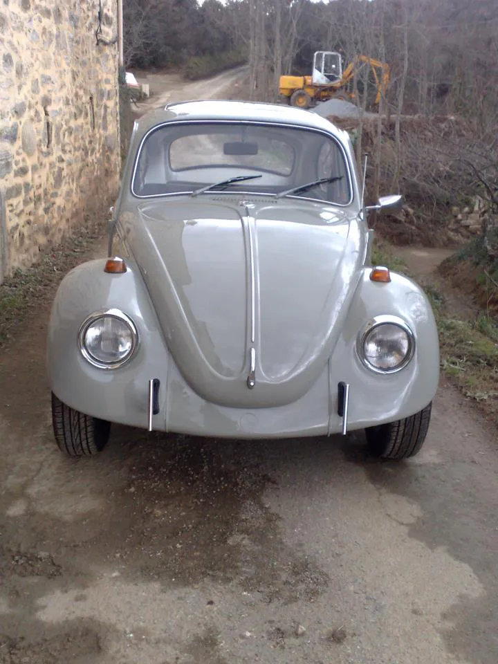 398017 203921796370276 100002573726927 392951 1119663181 n 1