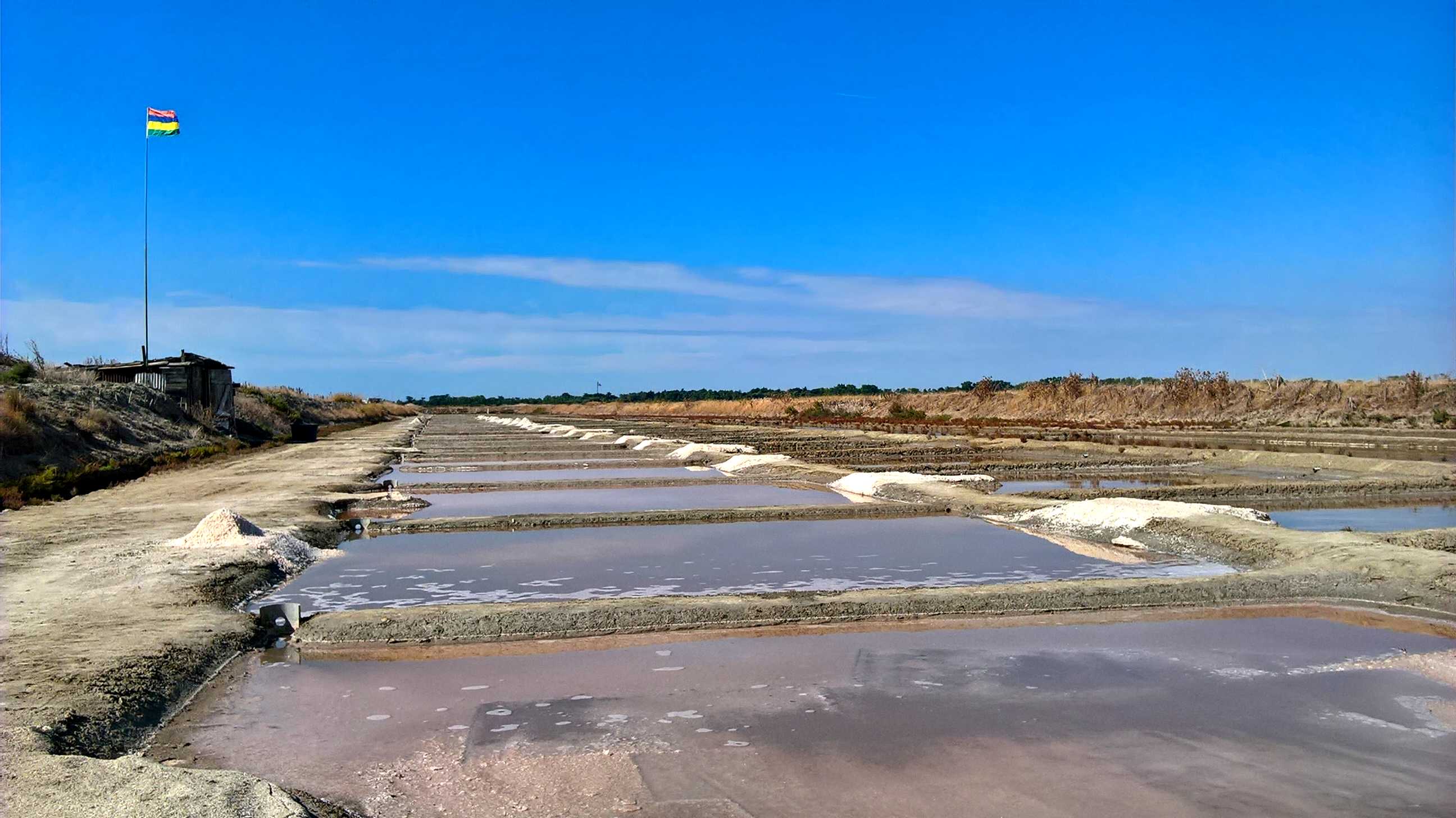 La saline pro
