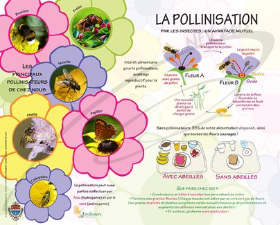 Nfv panneau roques pollinisation web