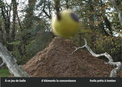 Imprimeur pour les 36 vues du mont hitachi3