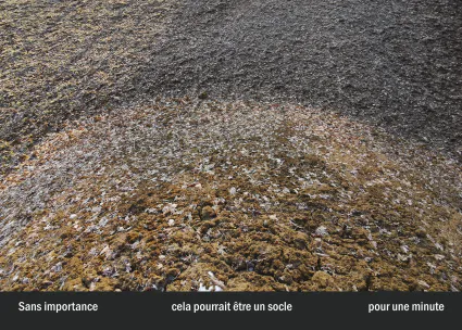 Imprimeur pour les 36 vues du mont hitachi14