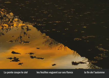 Imprimeur pour les 36 vues du mont hitachi13