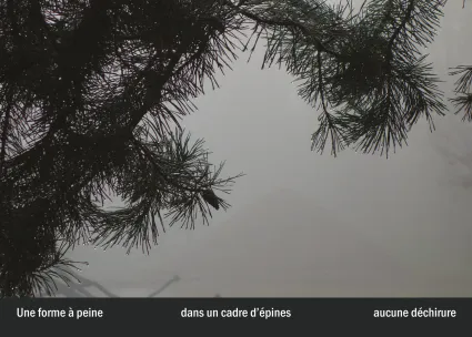 Imprimeur pour les 36 vues du mont hitachi10