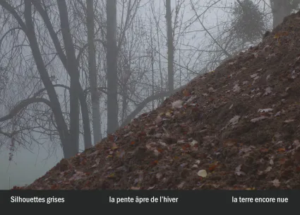 Imprimeur pour les 36 vues du mont hitachi9