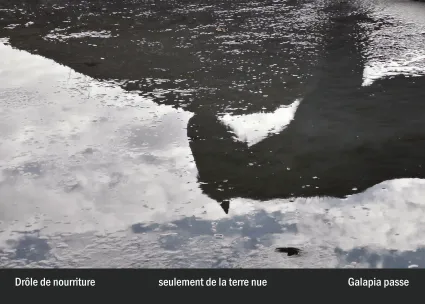 Imprimeur pour les 36 vues du mont hitachi21