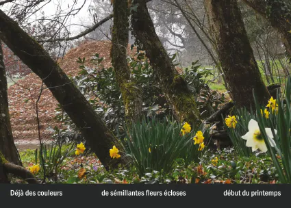 Imprimeur pour les 36 vues du mont hitachi20