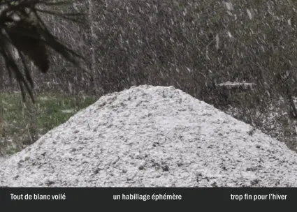 Imprimeur pour les 36 vues du mont hitachi18