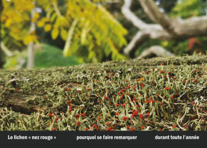 Imprimeur pour les 36 vues du mont hitachi37