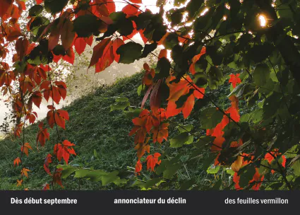 Imprimeur pour les 36 vues du mont hitachi36