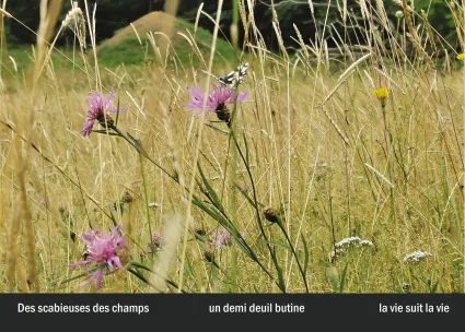 Imprimeur pour les 36 vues du mont hitachi35