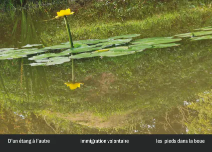 Imprimeur pour les 36 vues du mont hitachi34