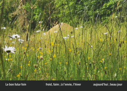 Imprimeur pour les 36 vues du mont hitachi32