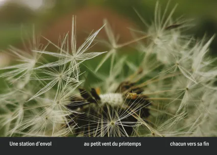 Imprimeur pour les 36 vues du mont hitachi31