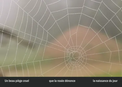 Imprimeur pour les 36 vues du mont hitachi30