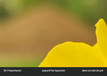 Imprimeur pour les 36 vues du mont hitachi29