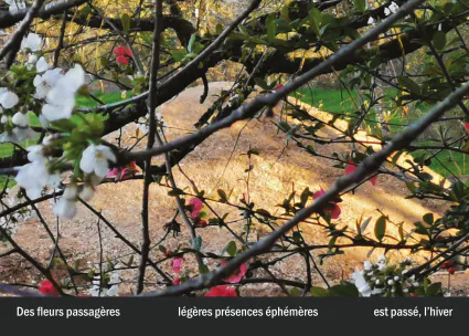 Imprimeur pour les 36 vues du mont hitachi28