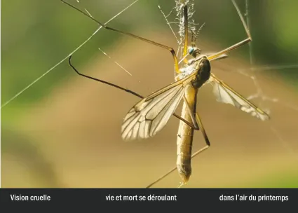 Imprimeur pour les 36 vues du mont hitachi27