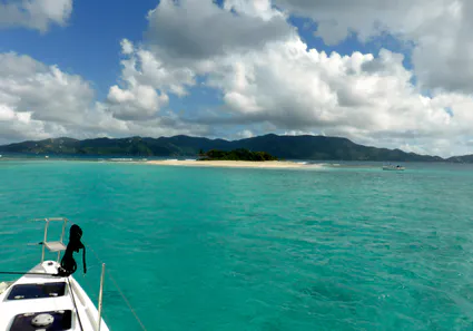 Jost van dyke sandy spit