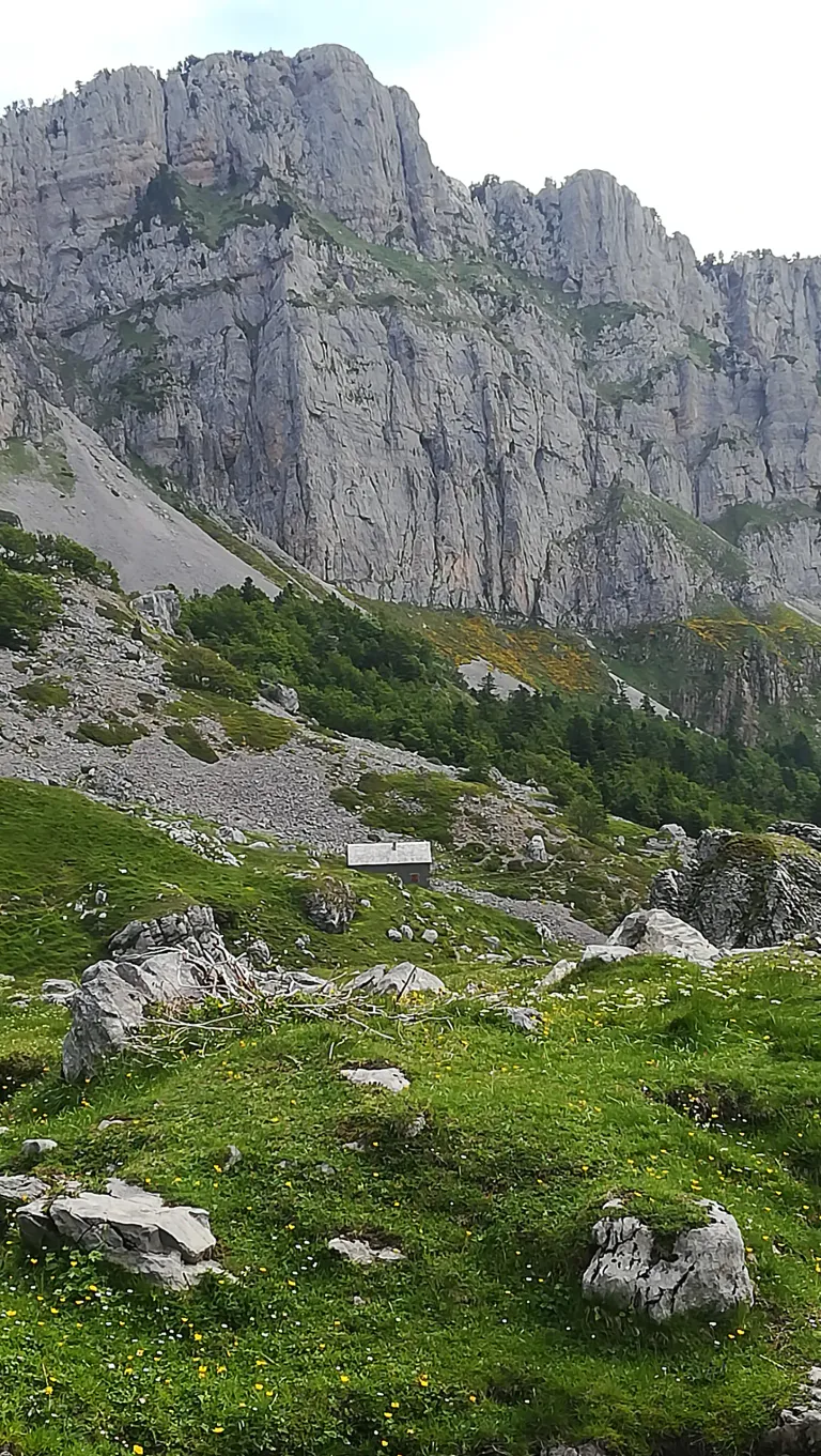 Img 20190623 113347