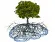 Arbre terre
Cabinet hypnotys hypnose Vannes séné arrêt tabac Hypnose aujourdhui,Cabinet Hypnotys,Cabinet d'hypnose à vannes, séné